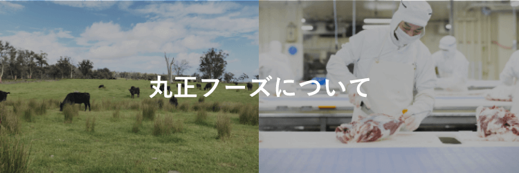 丸正フーズについて