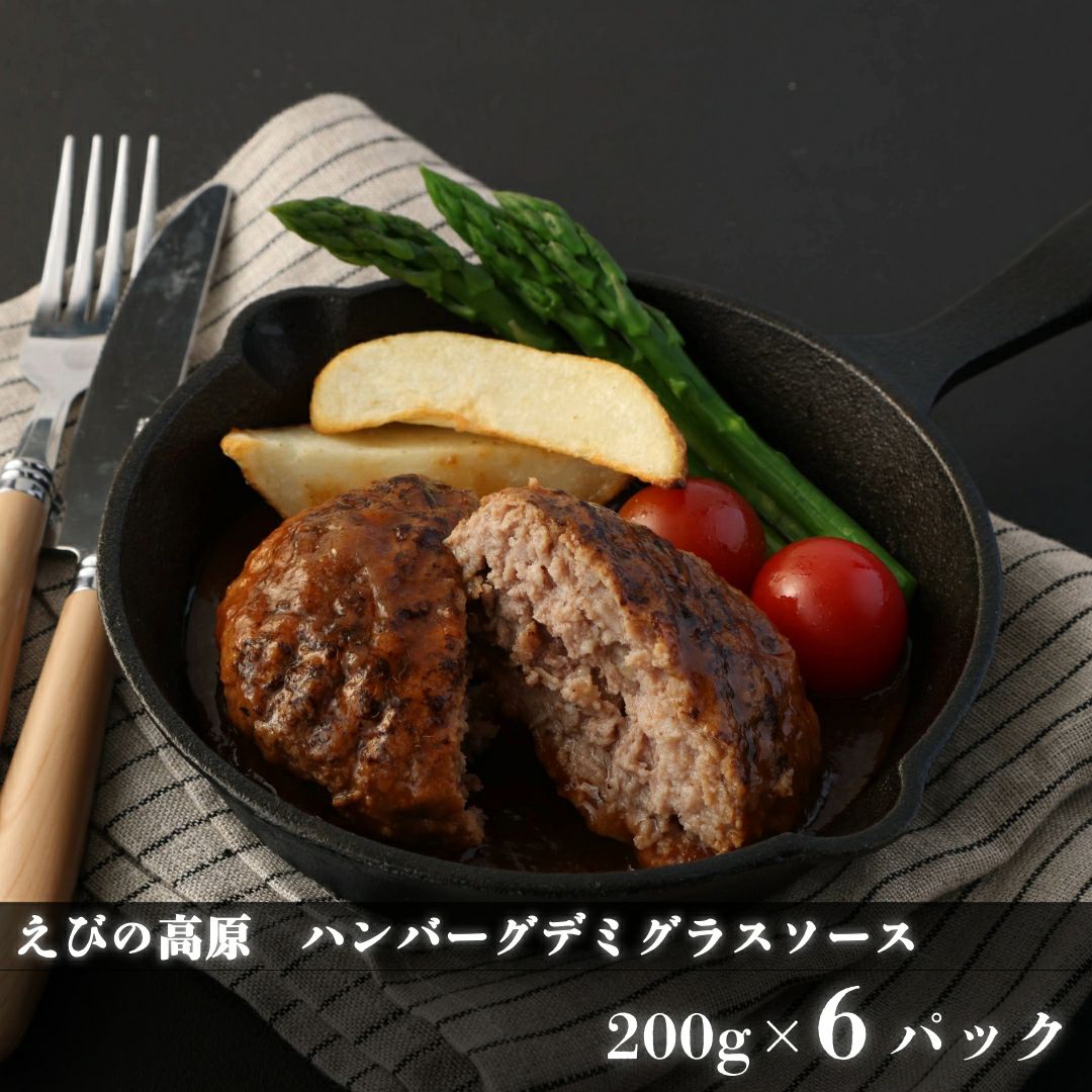 えびの高原 ハンバーグデミグラスソース200gx6パック